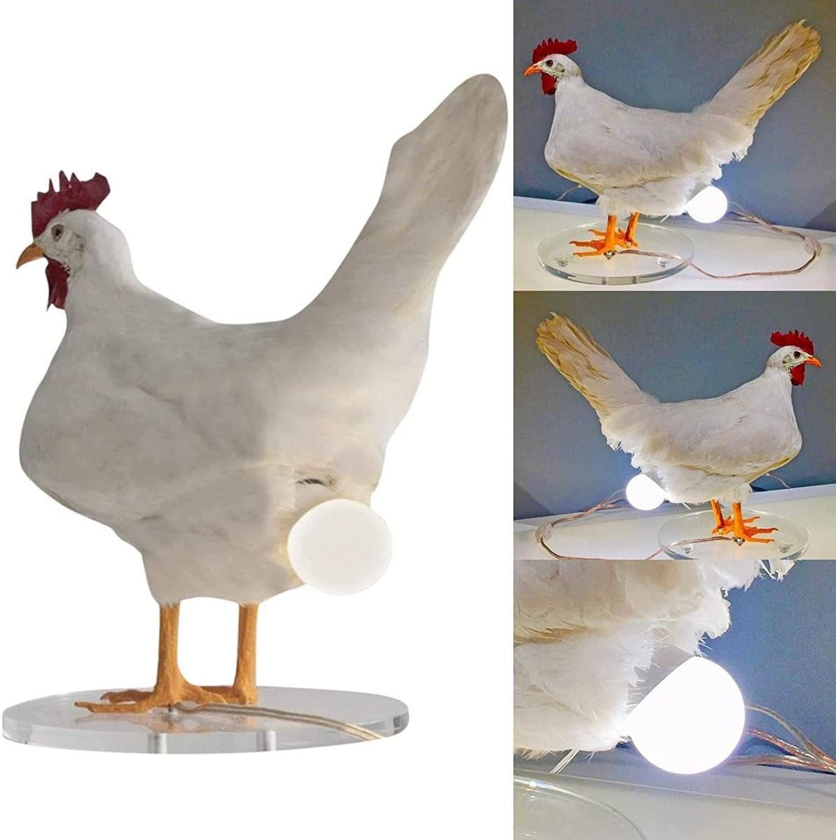 https://img.bestdeals.co.nz/products_pictures/523/52343_490306_F.jpg