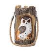 Solar Powered Owl Garden Lantern Light 1 Pack