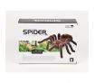 Mini Spider 787 Animal Toys for Children Birthday Gift