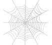 Mini Spider 787 Animal Toys for Children Birthday Gift