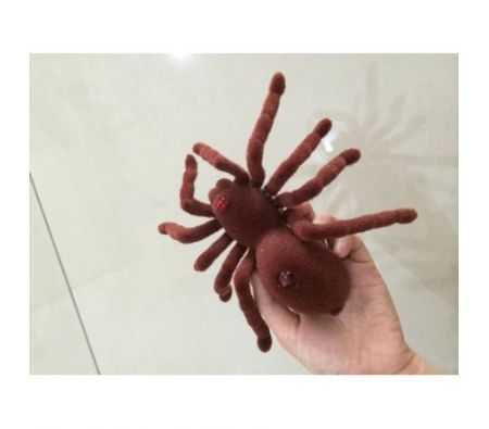https://img.bestdeals.co.nz/products_pictures/53/5333_42419_F.jpg