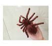 Mini Spider 787 Animal Toys for Children Birthday Gift