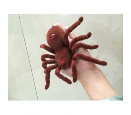 https://img.bestdeals.co.nz/products_pictures/53/5333_42421_F.jpg