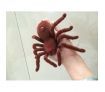 Mini Spider 787 Animal Toys for Children Birthday Gift