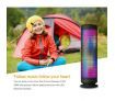 Portable stereo speaker with LED lighting
