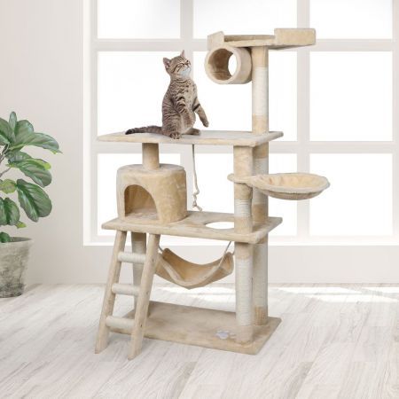 https://img.bestdeals.co.nz/products_pictures/530/53007_498713_F.jpg
