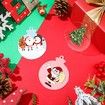 Acrylic Blanks Ornaments Clear Hexagon Acrylic Christmas Blank Ornament Bulk DIY Ornament Blanks Kit Acrylic Discs for Painting Vinyl DIY Christmas Ornament Family Kids Crafts (30 Pieces)