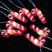 Christmas Festive Garden Light Strings