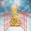 Christmas Cane Lights Strung With Outdoor Christmas Tree Lights