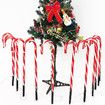 Christmas Cane Lights Strung With Outdoor Christmas Tree Lights