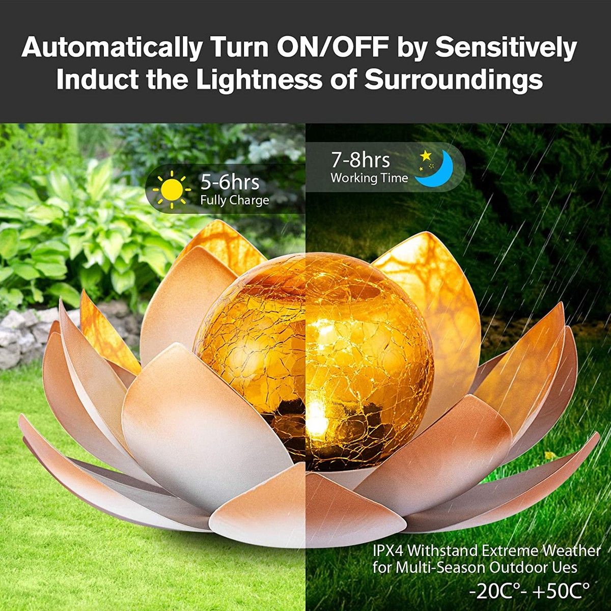 https://img.bestdeals.co.nz/products_pictures/541/54141_508531_F.jpg