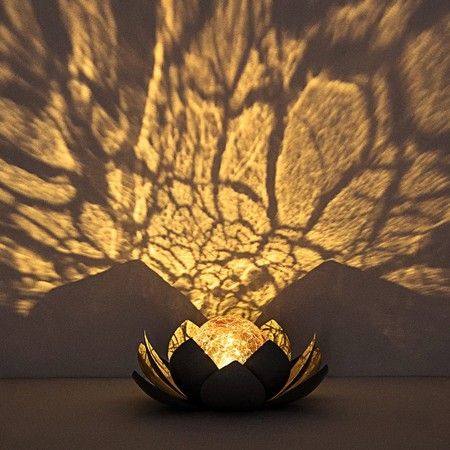 https://img.bestdeals.co.nz/products_pictures/541/54142_508542_F.jpg