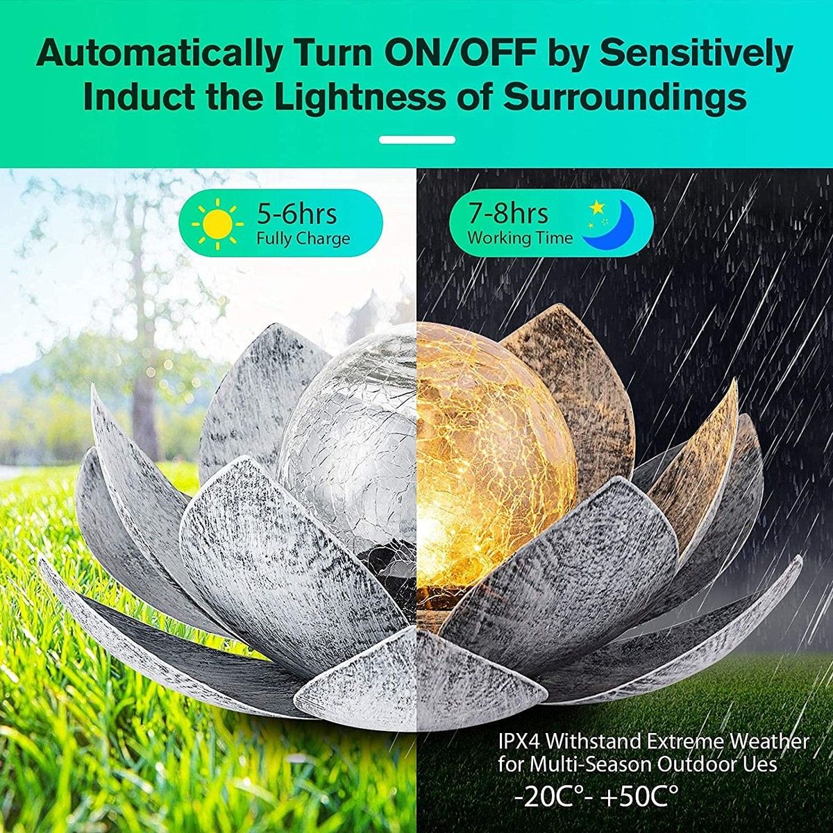 https://img.bestdeals.co.nz/products_pictures/541/54143_508551_F.jpg