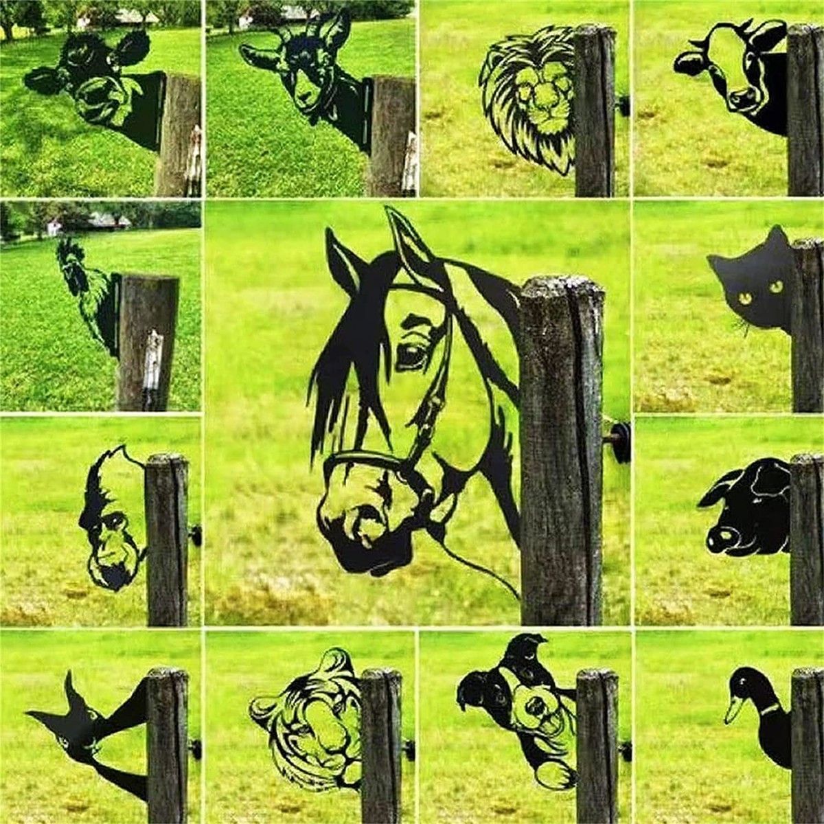 https://img.bestdeals.co.nz/products_pictures/545/54554_511980_F.jpg