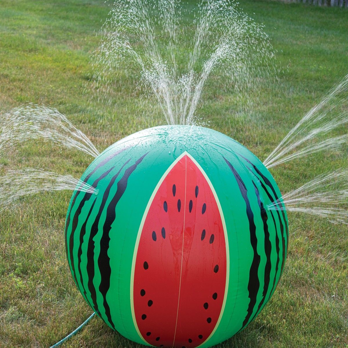 https://img.bestdeals.co.nz/products_pictures/546/54699_513132_F.jpg