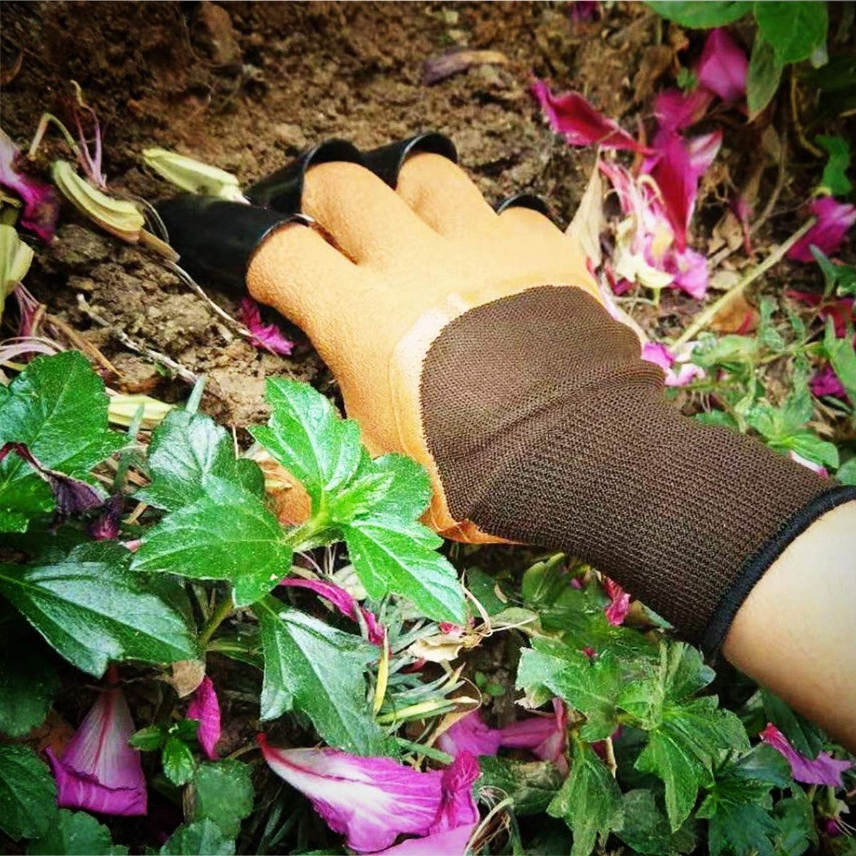 https://img.bestdeals.co.nz/products_pictures/547/54721_513346_F.jpg