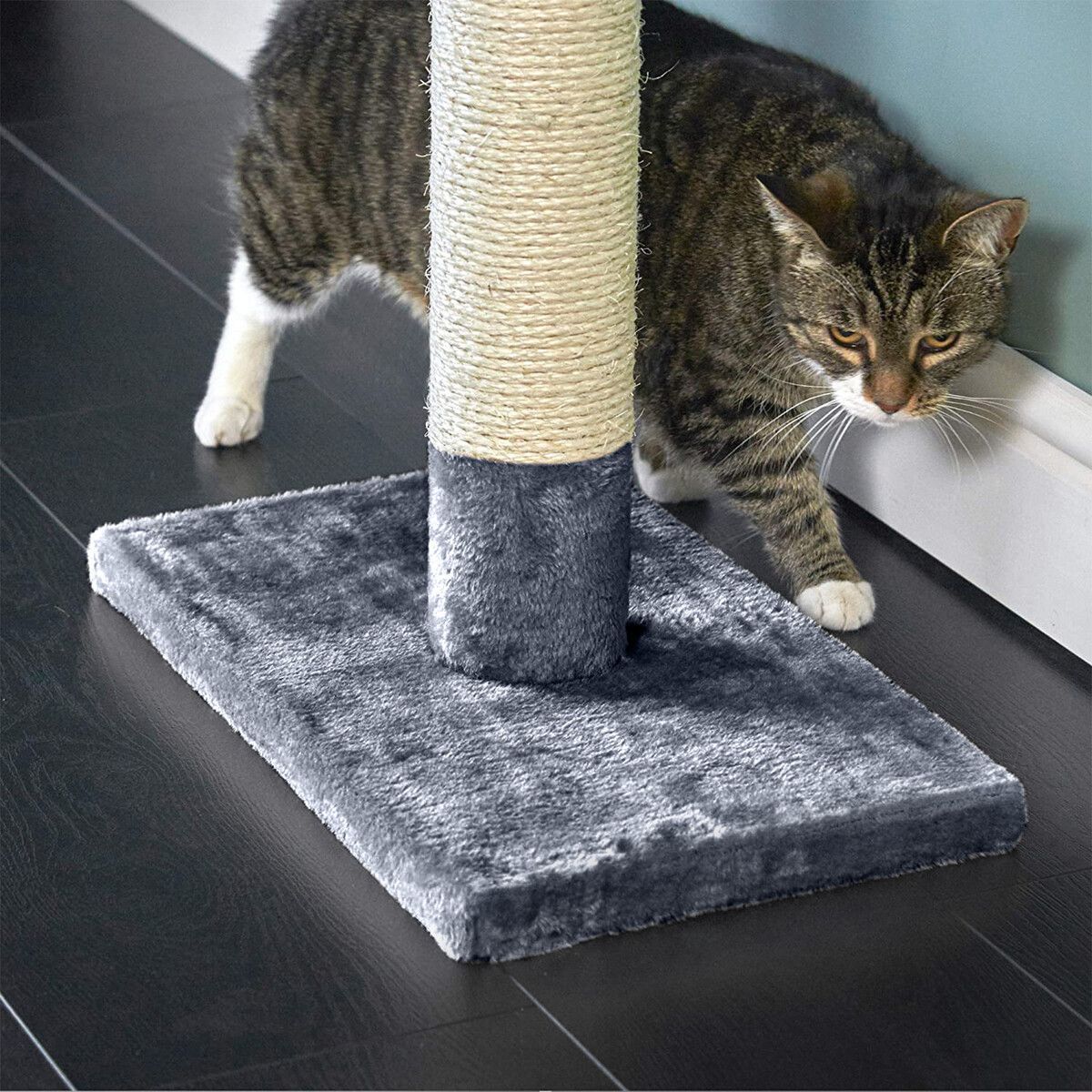 https://img.bestdeals.co.nz/products_pictures/548/54802_514140_F.jpg