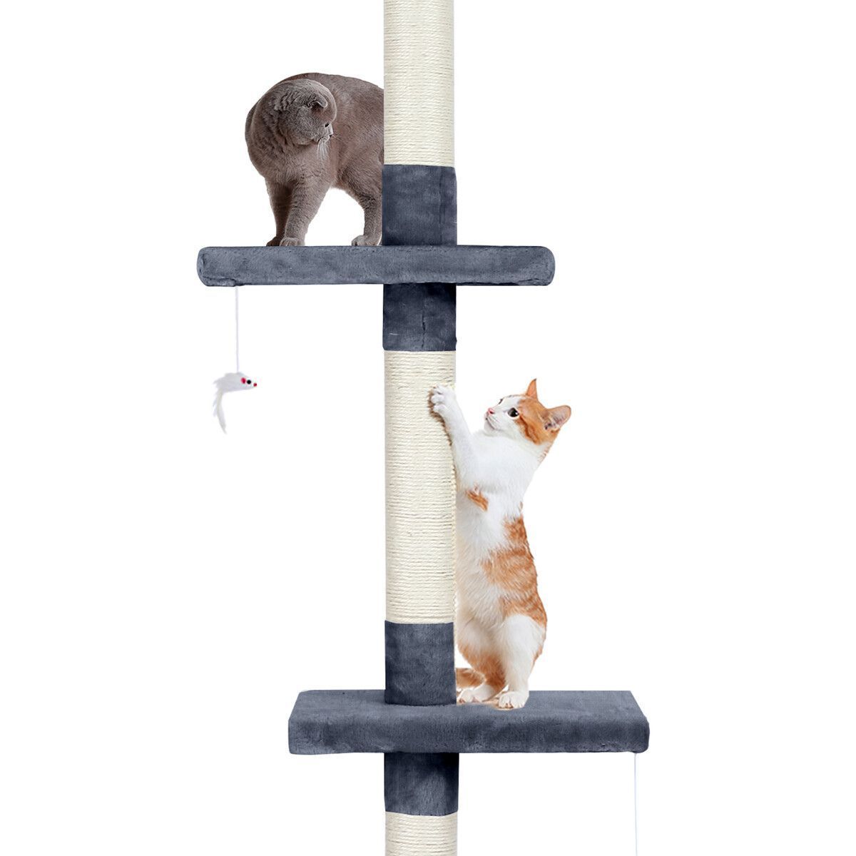 https://img.bestdeals.co.nz/products_pictures/548/54802_514148_F.jpg