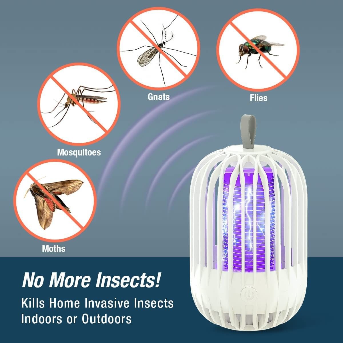 https://img.bestdeals.co.nz/products_pictures/548/54897_514909_F.jpg