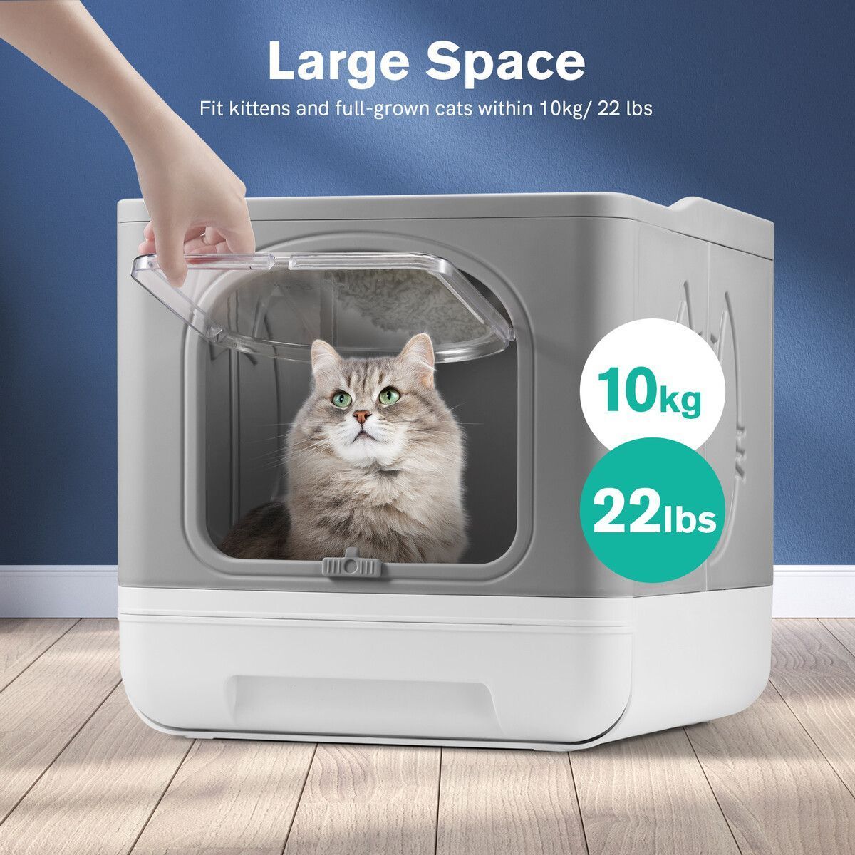 https://img.bestdeals.co.nz/products_pictures/549/54911_515044_F.jpg