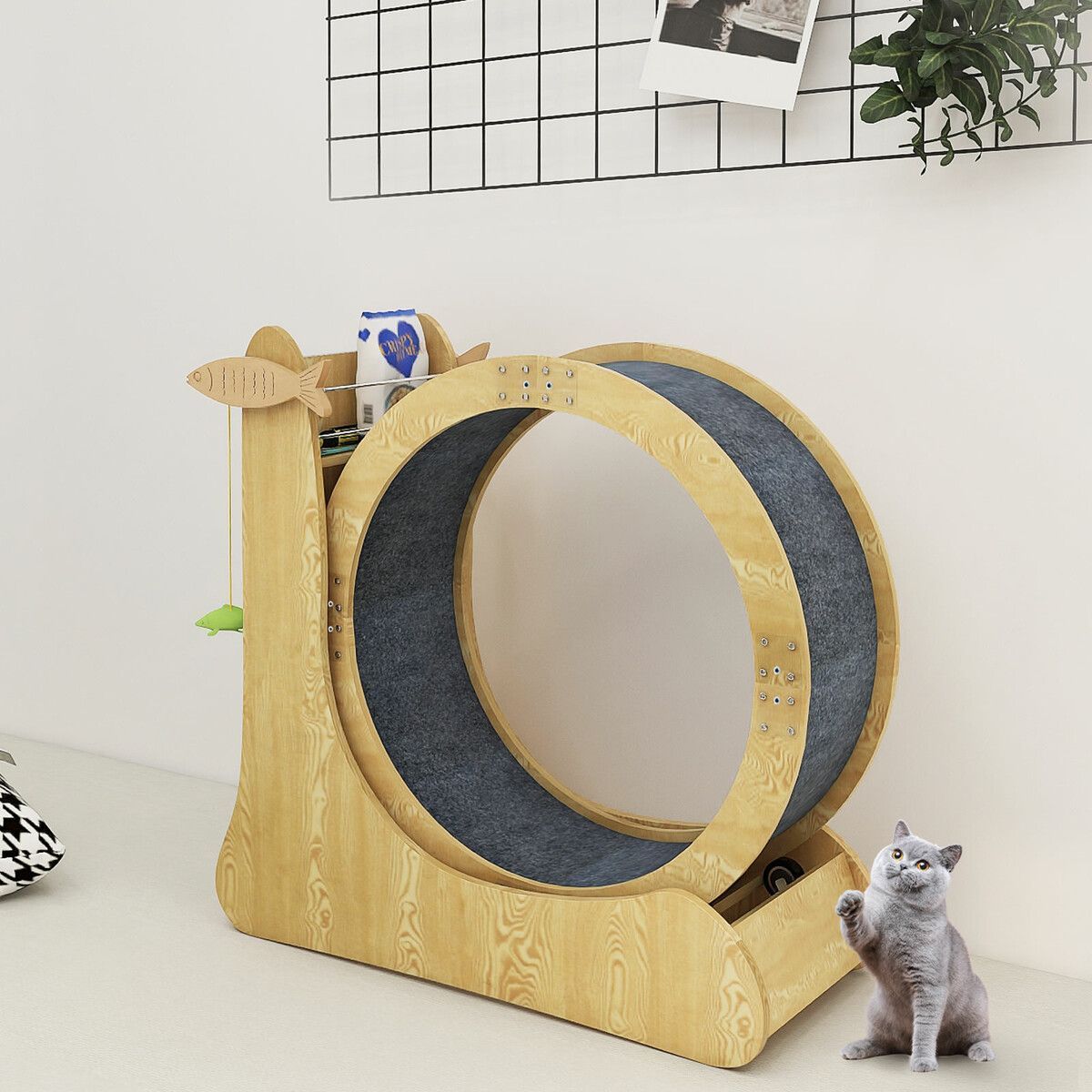 https://img.bestdeals.co.nz/products_pictures/549/54918_515124_F.jpg