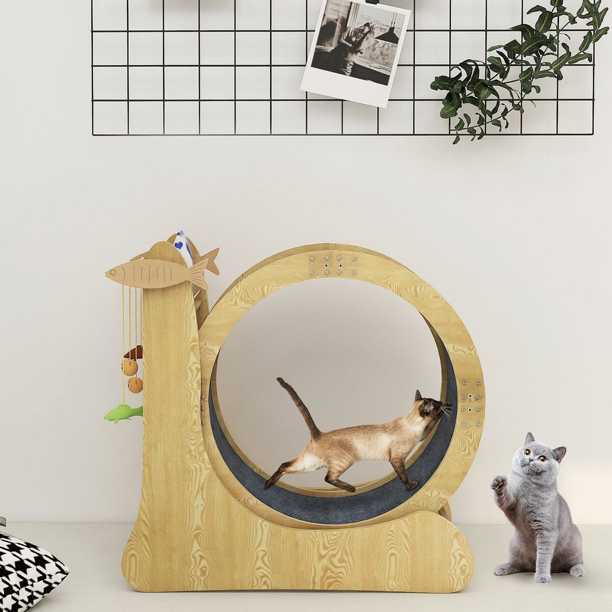 https://img.bestdeals.co.nz/products_pictures/549/54918_515125_F.jpg