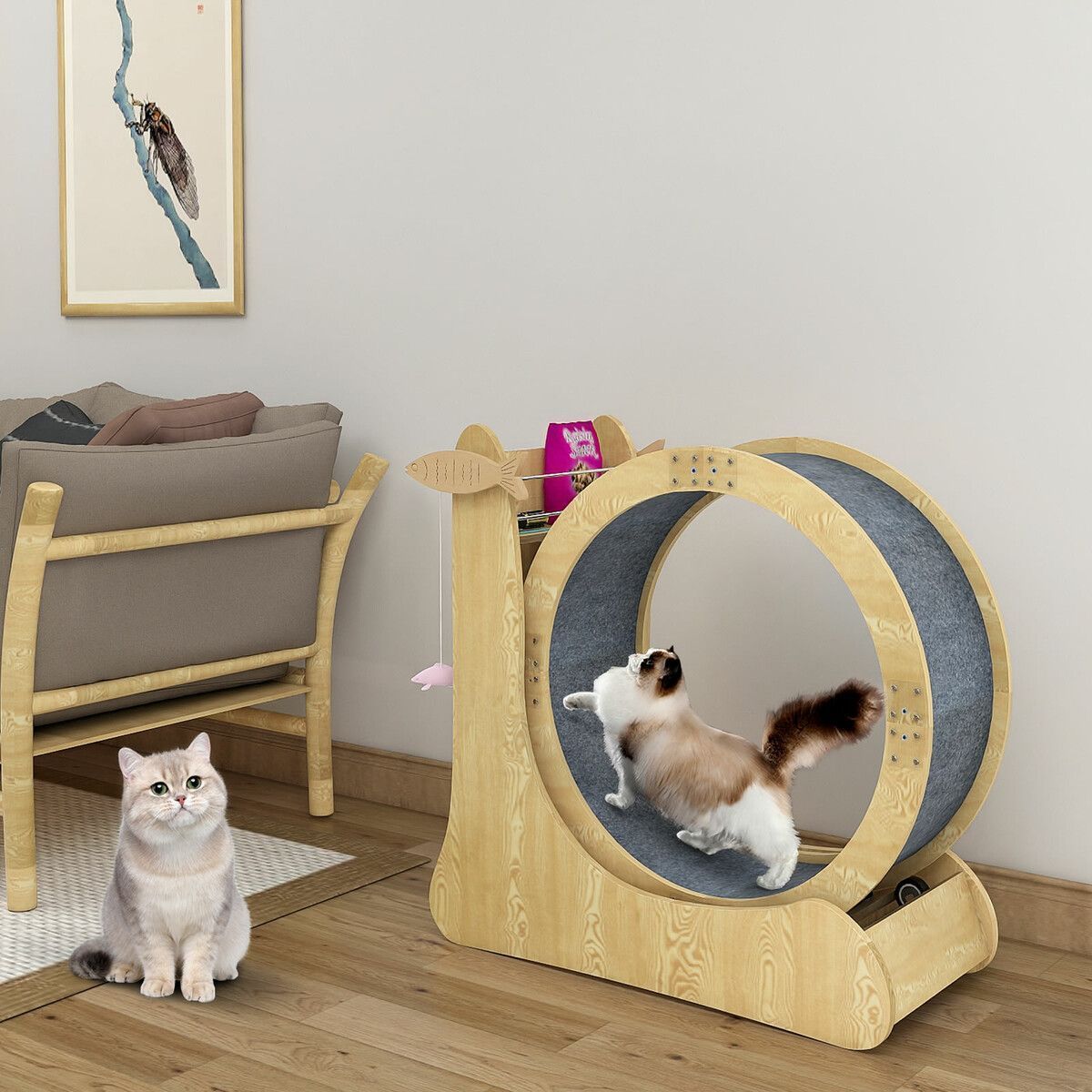 https://img.bestdeals.co.nz/products_pictures/549/54918_515126_F.jpg