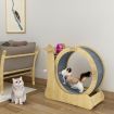 Cat Exercise Wheel Toy Running Exerciser Treadmill Furniture Scratcher Board Roller Play Gym Sports Equipment with Carpet Runway