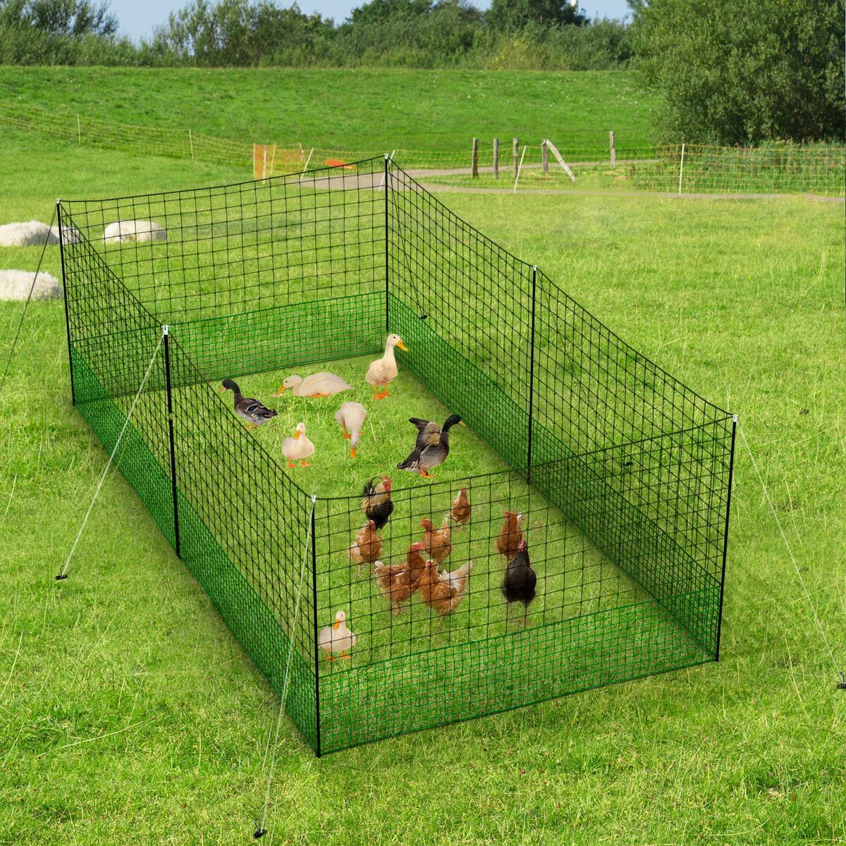 https://img.bestdeals.co.nz/products_pictures/549/54920_515144_F.jpg