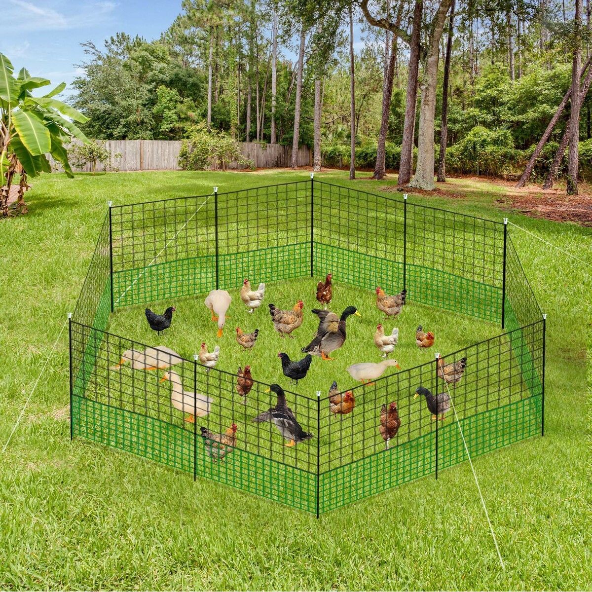 https://img.bestdeals.co.nz/products_pictures/549/54921_515162_F.jpg