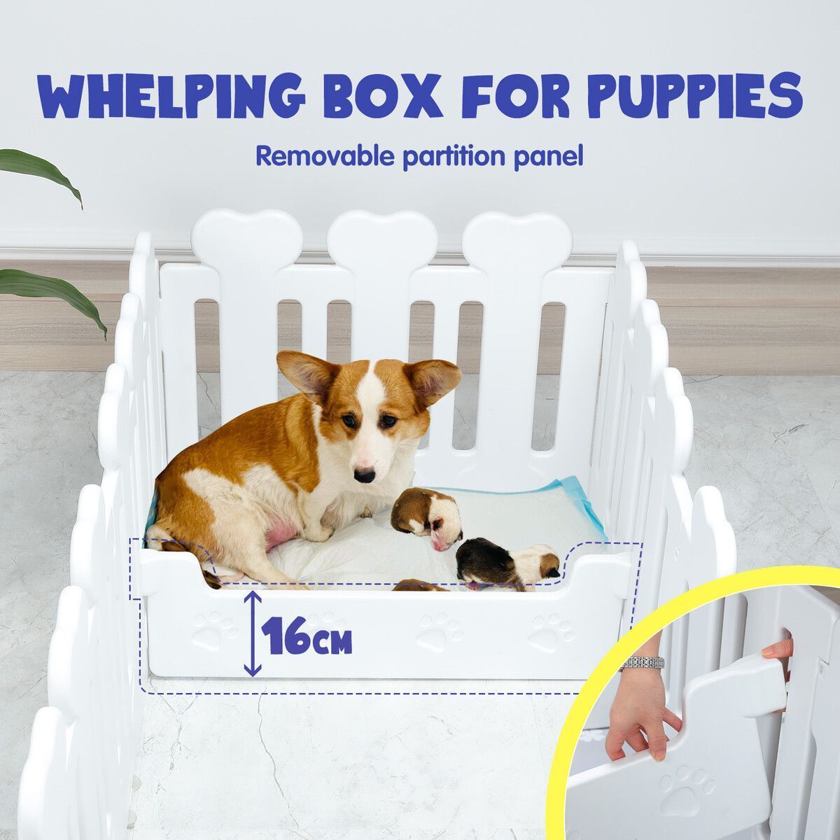 https://img.bestdeals.co.nz/products_pictures/549/54934_515323_F.jpg