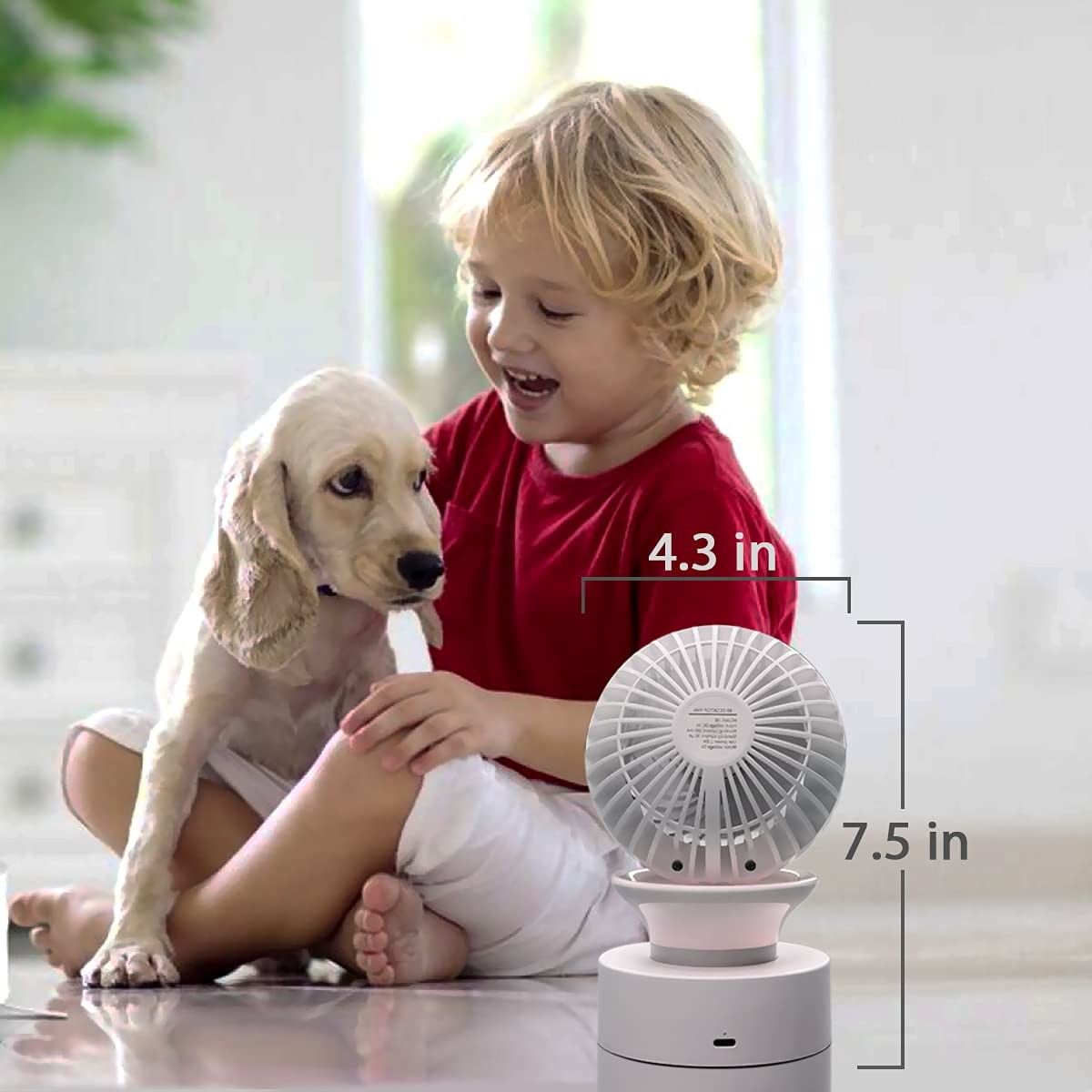 https://img.bestdeals.co.nz/products_pictures/549/54940_515393_F.jpg