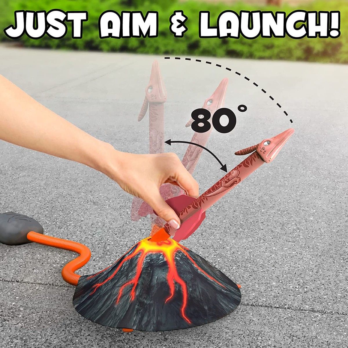 https://img.bestdeals.co.nz/products_pictures/549/54986_515735_F.jpg