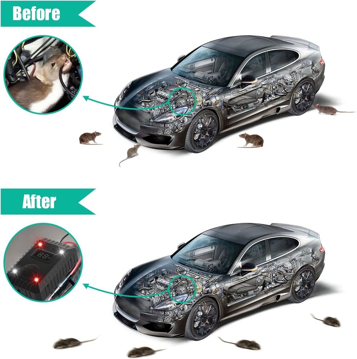 https://img.bestdeals.co.nz/products_pictures/550/55007_515944_F.jpg