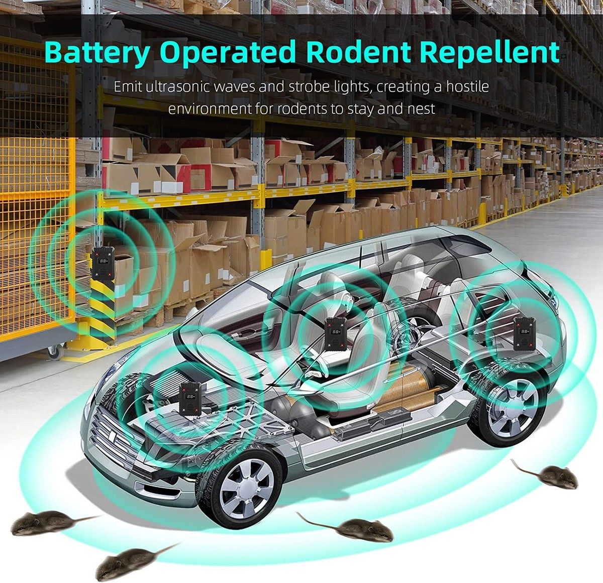 https://img.bestdeals.co.nz/products_pictures/550/55007_515947_F.jpg