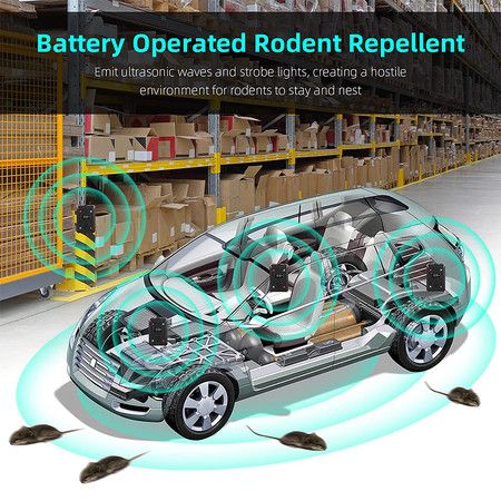https://img.bestdeals.co.nz/products_pictures/550/55007_515949_F.jpg