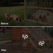 Solar Powered Animal Repellent, Ultrasonic Repellen Fox Raccoon, Yard Garden Farm