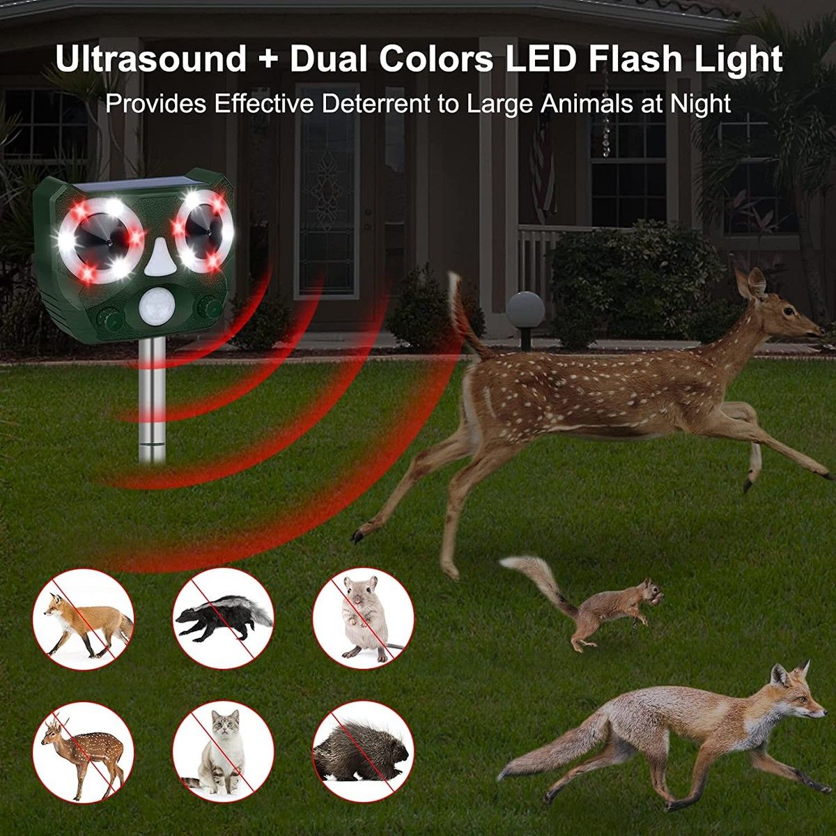 https://img.bestdeals.co.nz/products_pictures/550/55009_515959_F.jpg