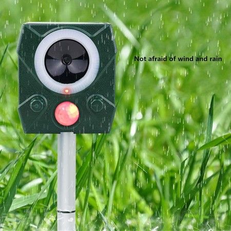 https://img.bestdeals.co.nz/products_pictures/550/55010_515970_F.jpg