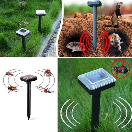 https://img.bestdeals.co.nz/products_pictures/550/55011_515979_F.jpg