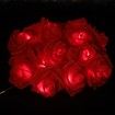6M 40 LED Rose Lights Valentine Garland with Lights Battery Operated, Red Rose Flower String Lights, Valentines Day Decorations