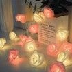 6M 40 LED Rose Lights Valentine Garland with Lights Battery Operated, Pink and Red Rose Flower String Lights, Valentines Day Decorations