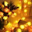 6M 40 LED Rose Lights Valentine Garland with Lights Battery Operated, Pink and Red Rose Flower String Lights, Valentines Day Decorations