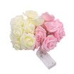 6M 40 LED Rose Lights Valentine Garland with Lights Battery Operated, Pink and Red Rose Flower String Lights, Valentines Day Decorations