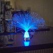 Colorful Fiber Optic Lamp LED Starlight Atmosphere Light Color Changing Crystal Night Light Wedding Party Christmas Decor Lamp