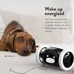 Run-Away Alarm Clock on Wheels (Authentic)Extra Loud for Heavy Sleeper Funny Rolling Jumping (Black)