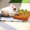 Pet Carrot Plush Toys, Dog Carrot Chewing Toys, Pet Plush Training Toys That Promote Natural Foraging, Interactive IQ Training and Entertainment Educational Toys