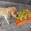 Pet Carrot Plush Toys, Dog Carrot Chewing Toys, Pet Plush Training Toys That Promote Natural Foraging, Interactive IQ Training and Entertainment Educational Toys