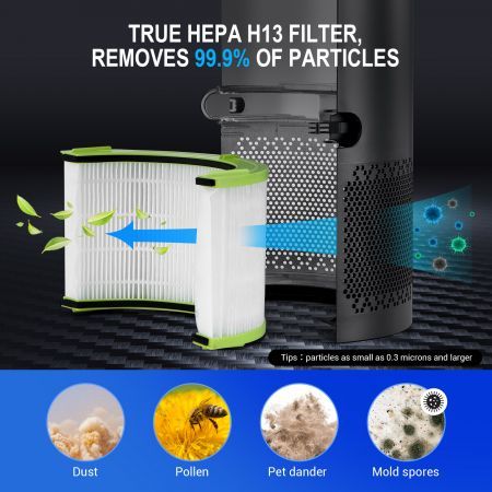 https://img.bestdeals.co.nz/products_pictures/553/55318_518663_F.jpg