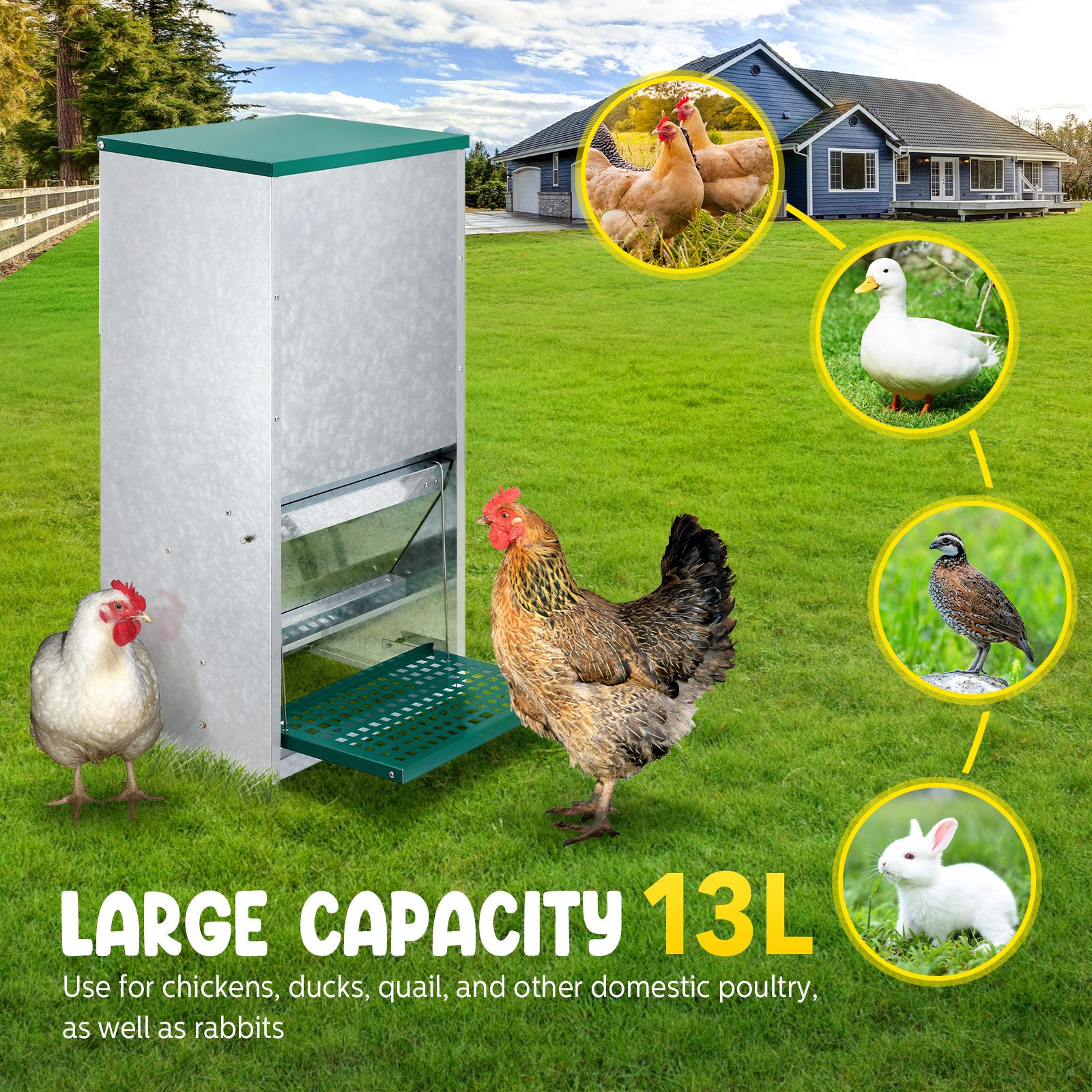 Auto Chicken Feeder Automatic Poultry Treadle Hens Rabbit Chook Food
